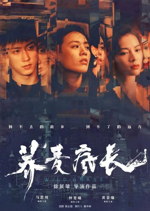 哪里哪里可以做假的意大利驾驶执照